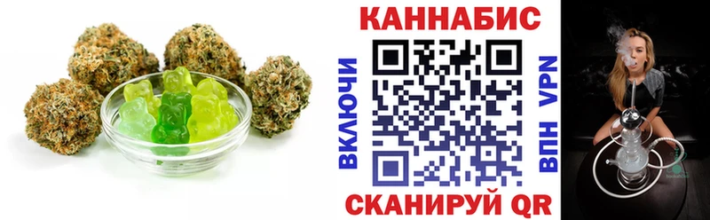 магазин продажи наркотиков  Сольвычегодск  Canna-Cookies конопля 