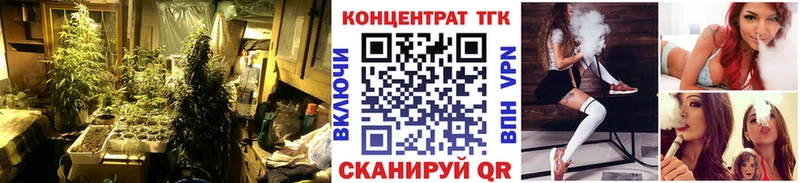 сайты даркнета Telegram  Сольвычегодск  ТГК концентрат 