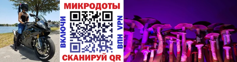 гидра ссылка  Сольвычегодск  Галлюциногенные грибы мухоморы 